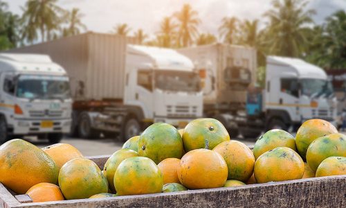 AdobeStock_281196367-e1632870748515