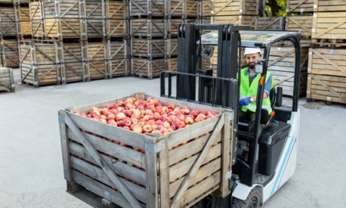 Work in warehouse with eco fruits, modern healthy food industry. Young bearded guy in hard hat drives forklift truck, lifts up red, ripe, tasty apples, on many wooden crates background, free space