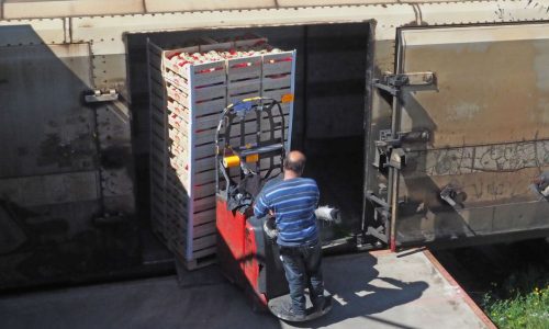 un-employe-charge-des-melons-a-bord-d-un-wagon-du-train-de-primeurs-a-destination-de-rungis-le-14-mai-2019-a-la-gare-saint-charles-de-perpignan_6180726